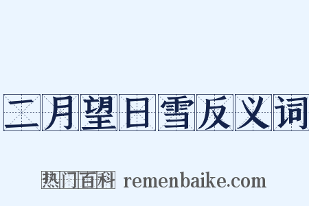 二月望日雪反义词是什么意思的图片